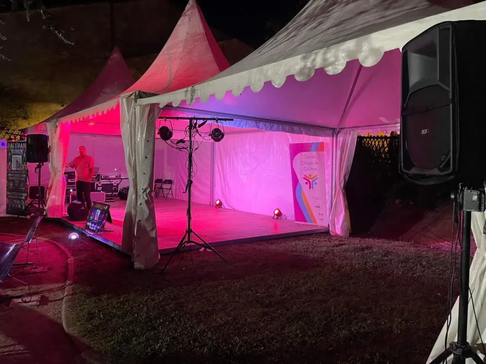 animation mariage